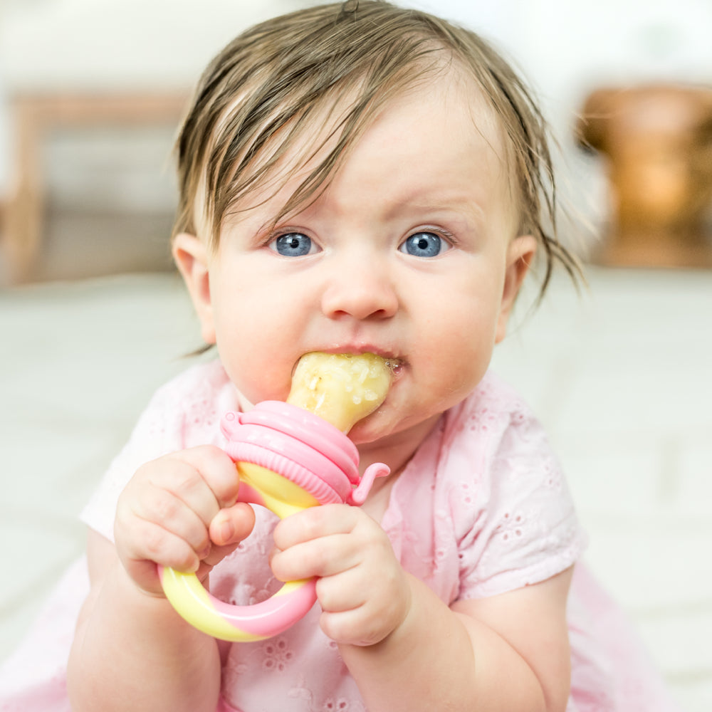 NatureBond Baby Food Feeder/Fruit Feeder Pacifier (2 Pack), Infant Teething  Toy –